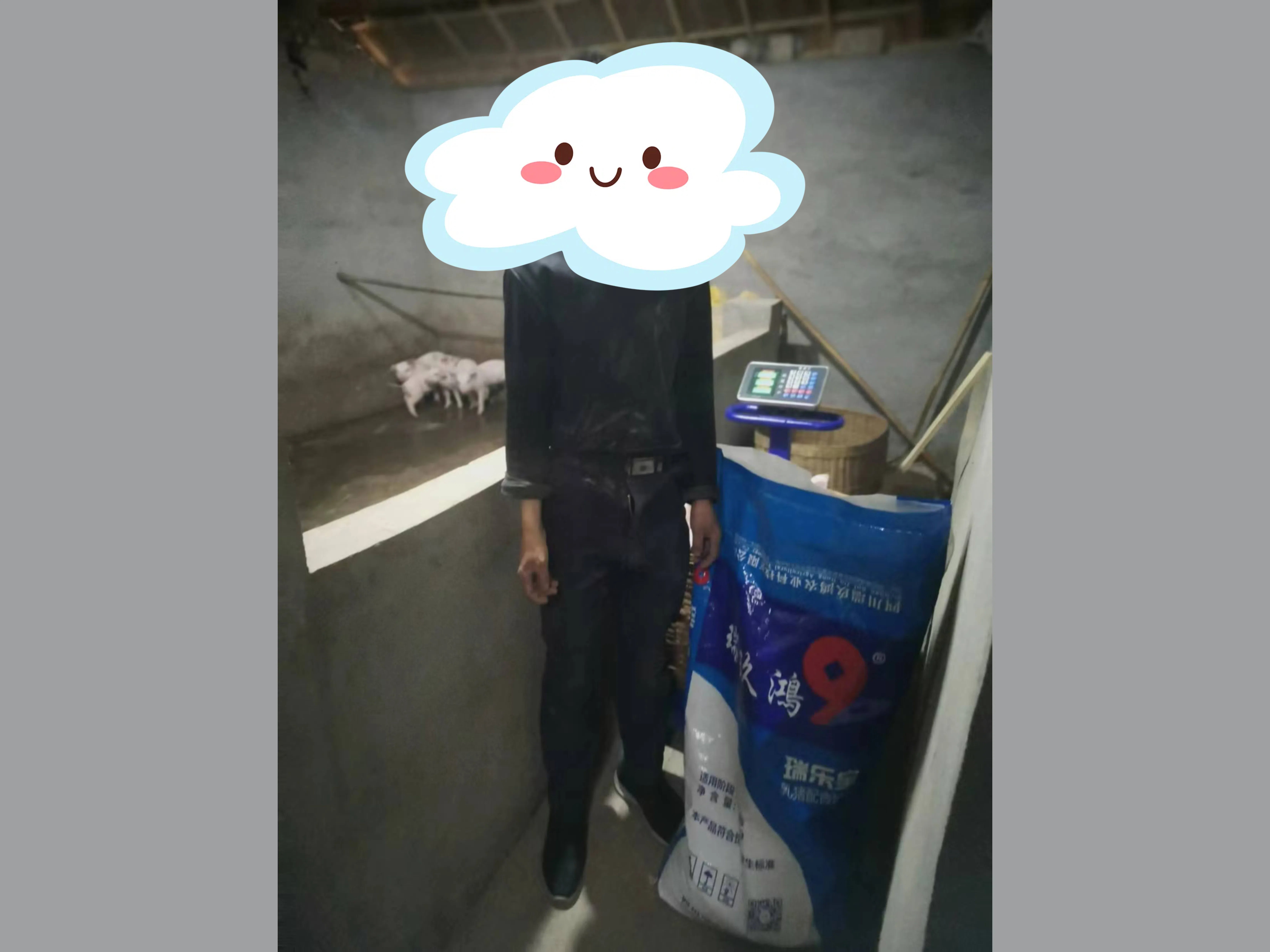 金順鎮(zhèn)水竹村劉※※實(shí)證報(bào)告