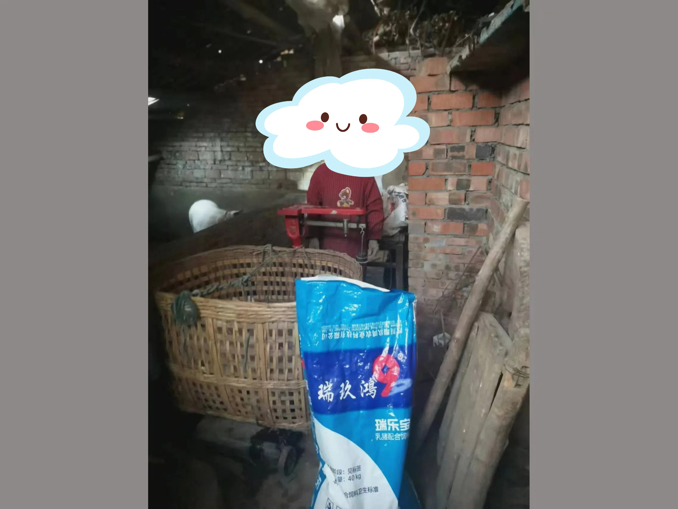 金順鎮(zhèn)水竹村劉※※實(shí)證數(shù)據(jù)