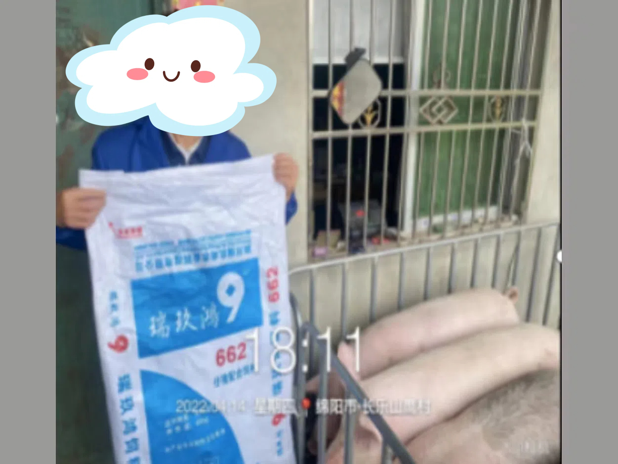 三臺(tái)縣長(zhǎng)樂(lè)縣山鷹村陸※※實(shí)證數(shù)據(jù)